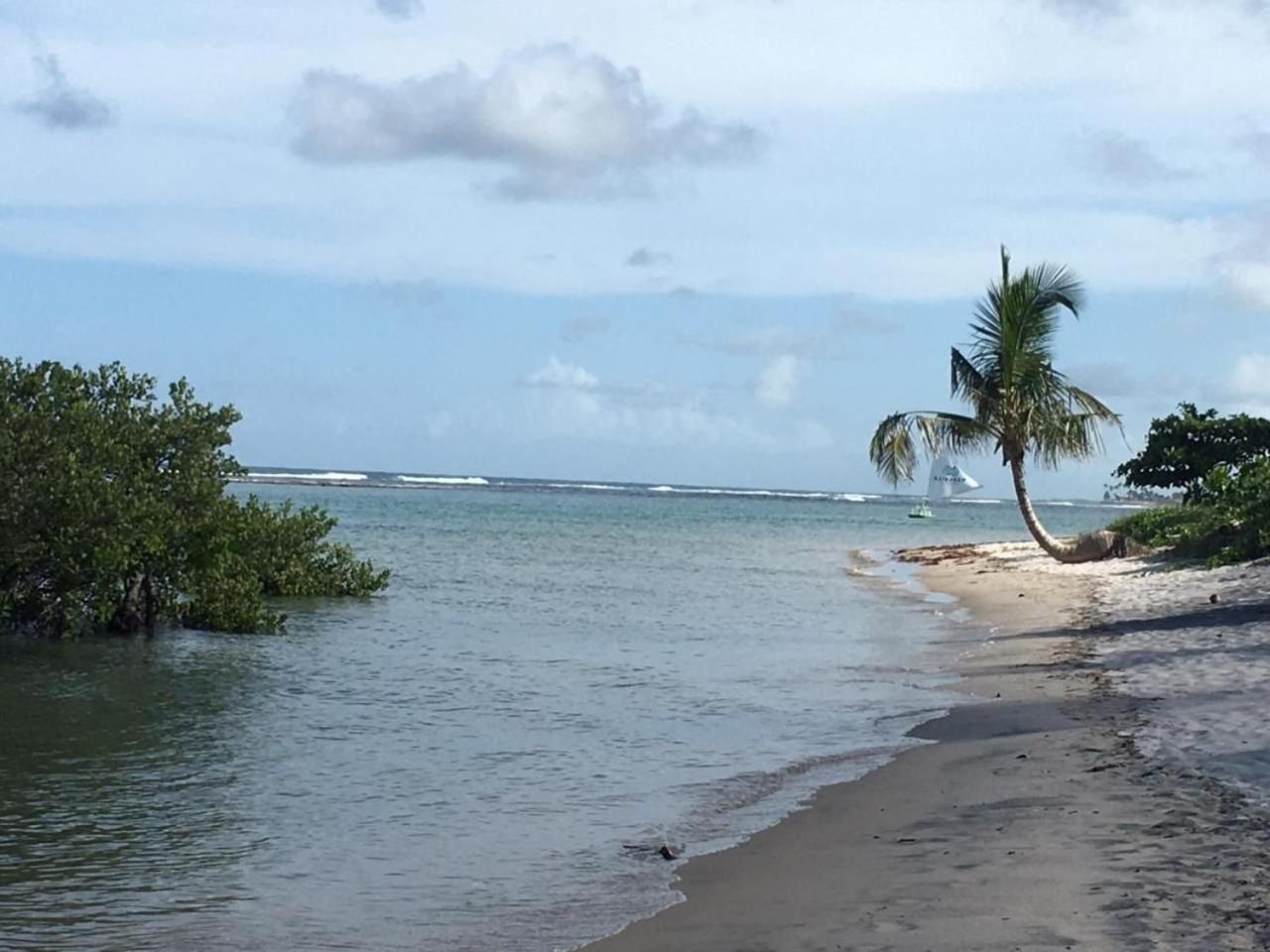 Polinesia Resort - Porto De Galinhas - Apartamentos Com Somente 1 Opcao De Terreo Com Piscina Privativa - Acesso Ao Hotel Samoa Εξωτερικό φωτογραφία